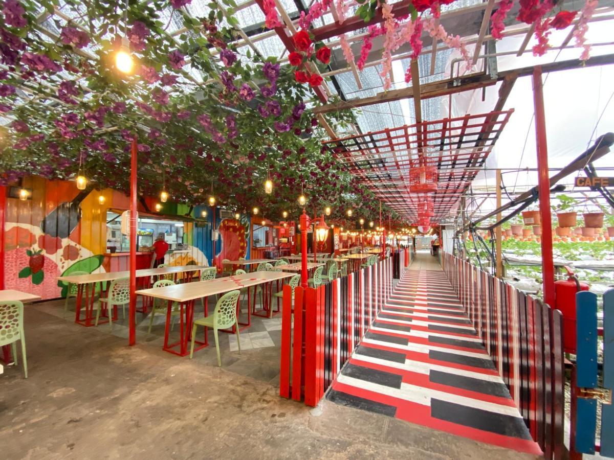 Aiza Homestay Opposite Abang Strawberry Taman Sedia Tanah Rata Exterior foto